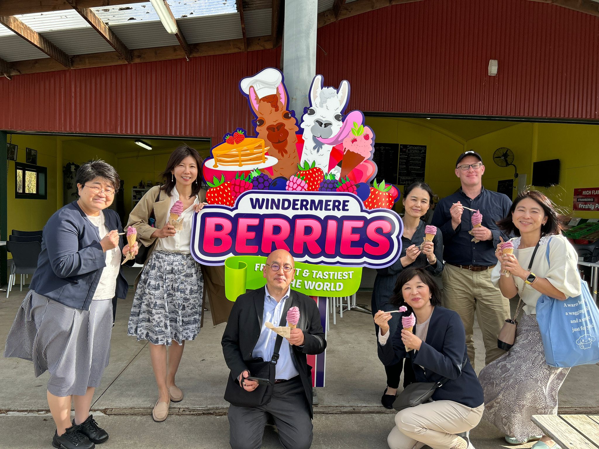 Japanese Teachers Real Fruit Ice Cream