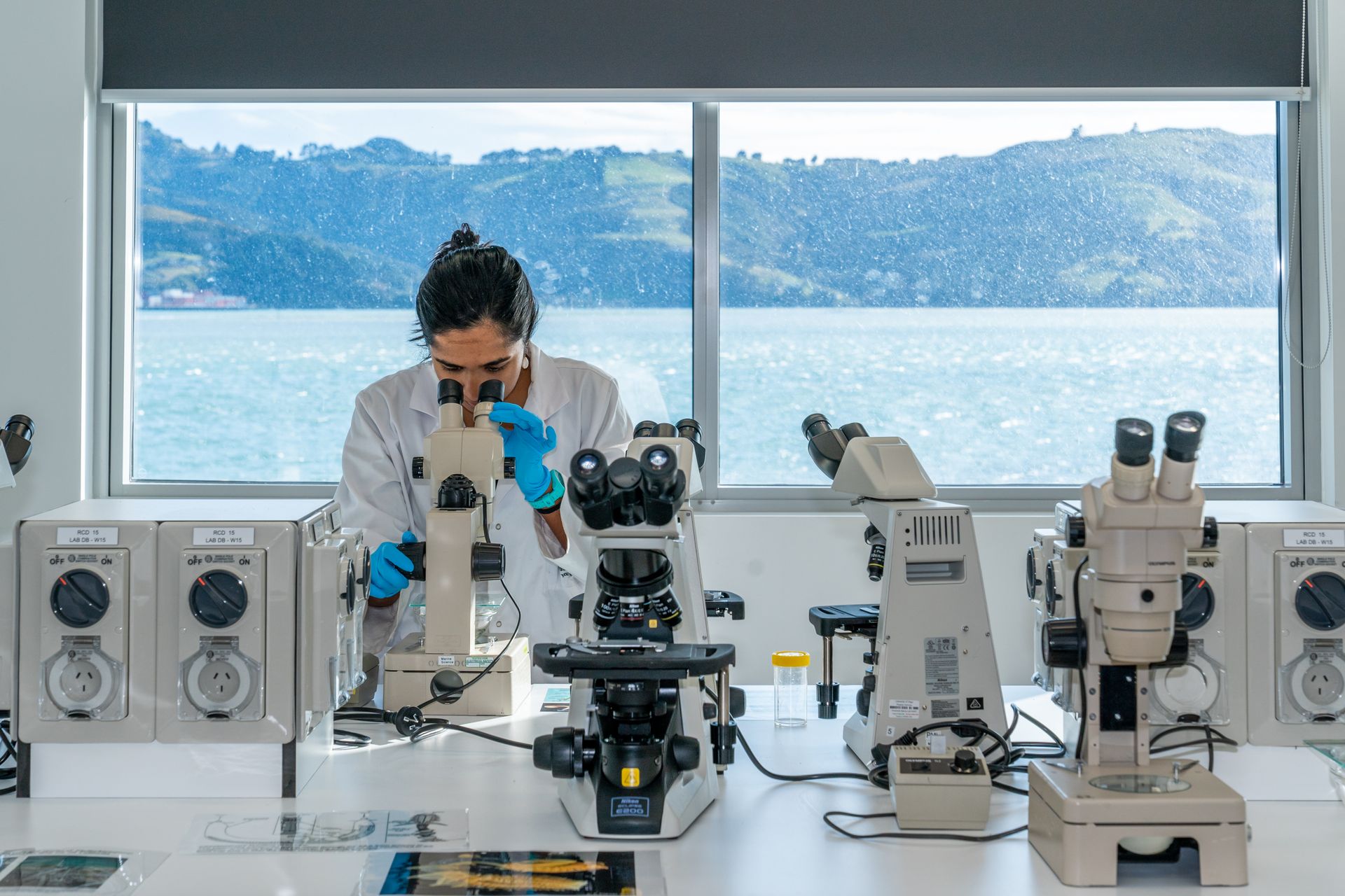 853569 new zealand hands on observation in the marine science lab university of otago dunedin 2026 web version 1920px