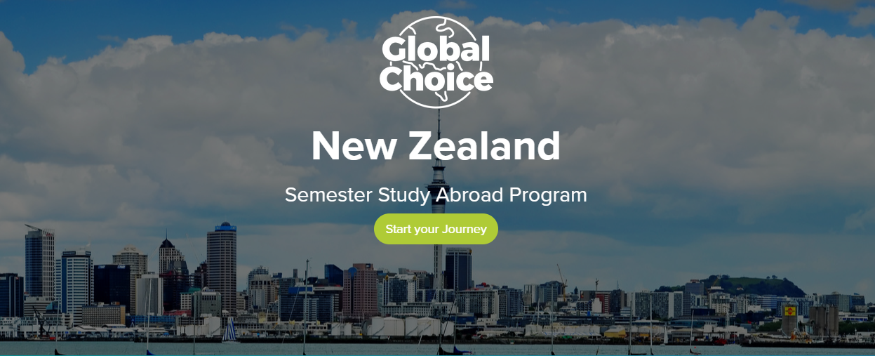 nz study abroad